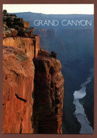 (RECTO / VERSO) GRAND CANYON - THE COLORADO RIVER - BEAU TIMBRE ET CACHET - CPM GF - Grand Canyon