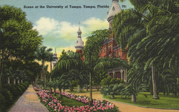 TAMPA - SCENE AT THE UNIVERSITY OF TAMPA - Tampa