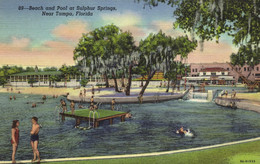 TAMPA - BEACH AND POOL AT SULPHUR SPRINGS - NEAR TAMPA - Tampa