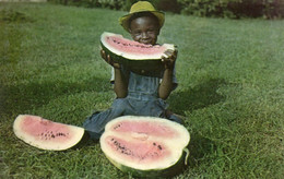 TAMPA - WATERMELON TIME DOWN SOUTH - Tampa