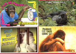 LOT DE 8 CP (Réf : FF 340) (ANIMAUX & FAUNE >SINGES) - Monkeys