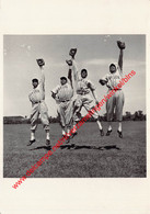 Baseball Team 1950's - Mickey Palles - Baseball - Honkbal