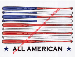 All American - Baseball Bats - Baseball - Honkbal