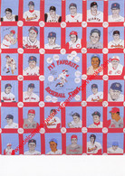 My Favorite Baseball Stars Quilt - Clara Schmitt Rothmeier - America Looks At Baseball - Baseball