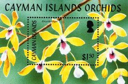 Cayman Islands - 2005 - Orchids - Encyclia Kingsii - Mint Souvenir Sheet - Cayman Islands