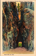 South Dakota Black Hills Custer State Park Big Tunnel On Needles Highway Curteich - Autres & Non Classés