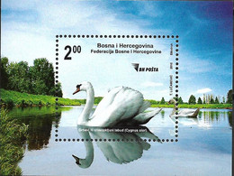 BOSNIE BOSNIA BOSNIEN BIRDS Cygne Swan Schwan  2010 Bloc/sheetlet/Block Neuf/mint/ungestemp. - Swans