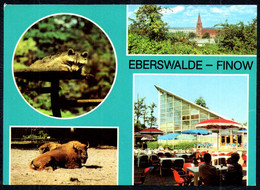 G1451 - Eberswalde Finow - Tierpark Waschbär - Bild Und Heimat Reichenbach - Eberswalde