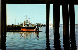 Maryland Ocean City Fishing On Catwalk Below U S Highway 50 Bridge - Ocean City