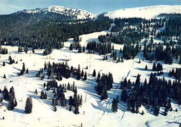 La Dôle La Rippe Chéserex Gingins Saint St Cergue Cergues Les Rousses Prémanon Ski Téléski - Chéserex