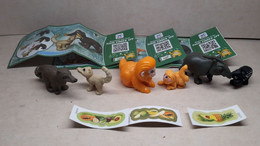 2019 Ferrero - Kinder Surprise - DV019, DV020 & DV021 - Natoons - Animals Feeding Time - Complete Set + 3 BPZ's - Monoblocs