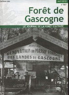 Forêt De Gascogne, Le Journal De La Forêt Cultivée N°587 Avril 2012 - Scolytes, Plan D'actions Phytosanitaire 2012 : Enf - Jardinage