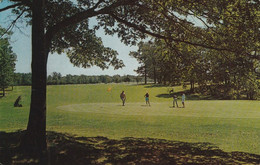 Golfing On Long Island, New York There Are About 100 Private And Municipal Golf Courses On The Island - Long Island