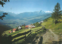 Scheid - Blick Ins Domleschg Mit Piz Beverin        Ca. 1970 - Bever