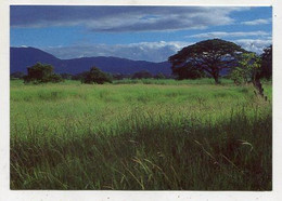 AK 111960 COSTA RICA - Pasture Land During The Rainy Season - Costa Rica