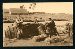 CPA - Carte Postale - Belgique - Le Rouissage Dans Le Courtraisis (CP22251) - Fermes