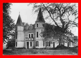 CPSM/gf (40) GABARRET.  Château De Milleton...P1038 - Gabarret