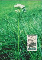 1995 Liechtenstein MC 135 Mi:LI 1118°, Yt:LI 1059° Zum:LI 1060°  Heilpflanzen, Gebräuchlicher Baldrian - Medicinal Plants