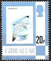 Gibraltar - MNH ** 1977 :    Audouin's Gull  -  Ichthyaetus Audouinii - Gaviotas