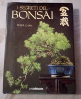 I Segreti Del BONSAI, Pag.160 - Anno 1988 - Con Foto E Immagini - Andere & Zonder Classificatie