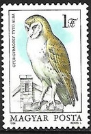 Hungary (Magyar) - MNH ** 1984 :   Western Barn Owl  -  Tyto Alba - Hiboux & Chouettes