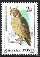 Hungary (Magyar) - MNH ** 1984 :   Long-eared Owl  -  Asio Otus - Hiboux & Chouettes