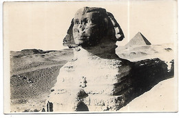 L120D1135 - Egypt - Sphinx - Sfinge