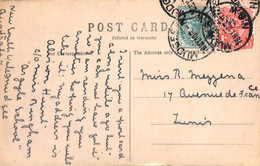 Ac6717 - AUSTRALIA: New South Wales - Postal History - POSTCARD To TUNIS! 1910 - Cartas & Documentos