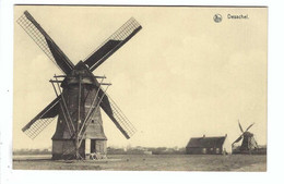 Dessel  Desschel   De Molen - Dessel