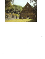 Germany - Postcard Unused -  Nossen -  Monastery Ruins Altzella - Nossen