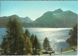 Bregaglia (Grisons, Svizzera) Blick Von Der Strasse Sils-Maloja Uber Den Silsersee Auf Isola Und Piz Della Margna - Bregaglia