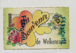 Un Souvenir De Welkenraedt - Welkenraedt