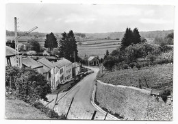 Cpsm: BELGIQUE - LUXEMBOURG - SAINT LEGER - La Rue De La Demoiselle  N° 4222  Ed. Arduenna - Saint-Léger