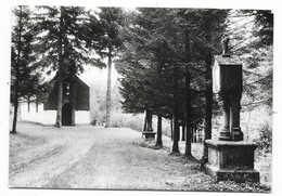 Cpsm: BELGIQUE - LUXEMBOURG -Vallée Du Ton - SAINT LEGER - Dernières Stations Du Chemin De Croix  N° 4621  Ed. Arduenna - Saint-Leger