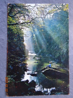 THE FAIRY GLEN  BETWS-Y-COED - Contea Sconosciuta