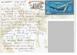 C4 :Russia - Whale,stamps Used On Postcard - Covers & Documents