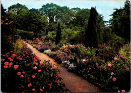 England Gloucestershire Hidcote Manor Gardens The Old Rose Walk - Gloucester