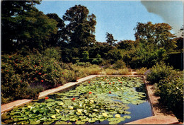 England Gloucestershire Hidcote Manor Gardens The Lily Pond - Gloucester