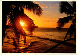 Tahiti Beautiful Sunset - Tahiti