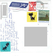 C5 : Netherland - Rabbit, Squirrel, Architecture Country Side Stamps Used On Postcard - Brieven En Documenten