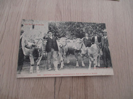 CPA 65 Hautes Pyrénées Capvern Les Bains Cultivateurs Du Pays Se Rendant Au Marché - Sonstige & Ohne Zuordnung