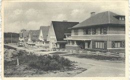 COQ S/MER - DEN HAAN A/ZEE : Groupe De Villas - Groep Villa's - Cachet De La Poste 1955 - De Haan