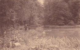 TRAZEGNIES LECHATEAU ET LES ETANG DU PETIT BOIS - Courcelles