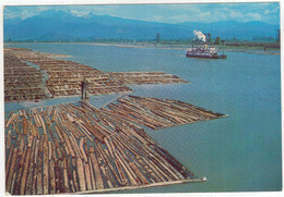 Pitt Meadows - Paddle Steamer And Log Booms - Bateau à Aubes Et Barrages De Billes - (Canada) - Vancouver