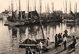 Les Sables D'olonne * Le Débarquement Du Thon * Pêche * Pêcheurs - Sables D'Olonne