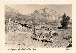 Vivario * Les Bergères Du Mont D'oro * Haute Corse 2B - Andere & Zonder Classificatie