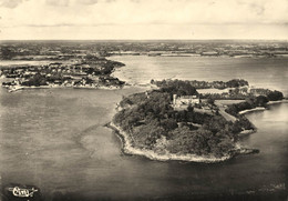 Larmor Baden * Vue Aérienne Sur L'ile De Berder Et La Commune - Larmor-Plage