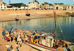 Quiberon * Le Débarquement Du Poisson à Port Maria * Pêche Pêcheurs - Quiberon