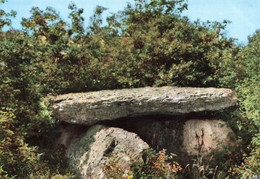 Septfonds * Vue Sur Le Dolmen * Menhir Pierre Monolithe - Other & Unclassified