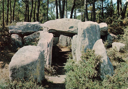 Plouharnel * Vieilles Pierres Du Dolmen De Crucuno * Monolithe Mégalithe - Other & Unclassified